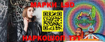 спиды Обь