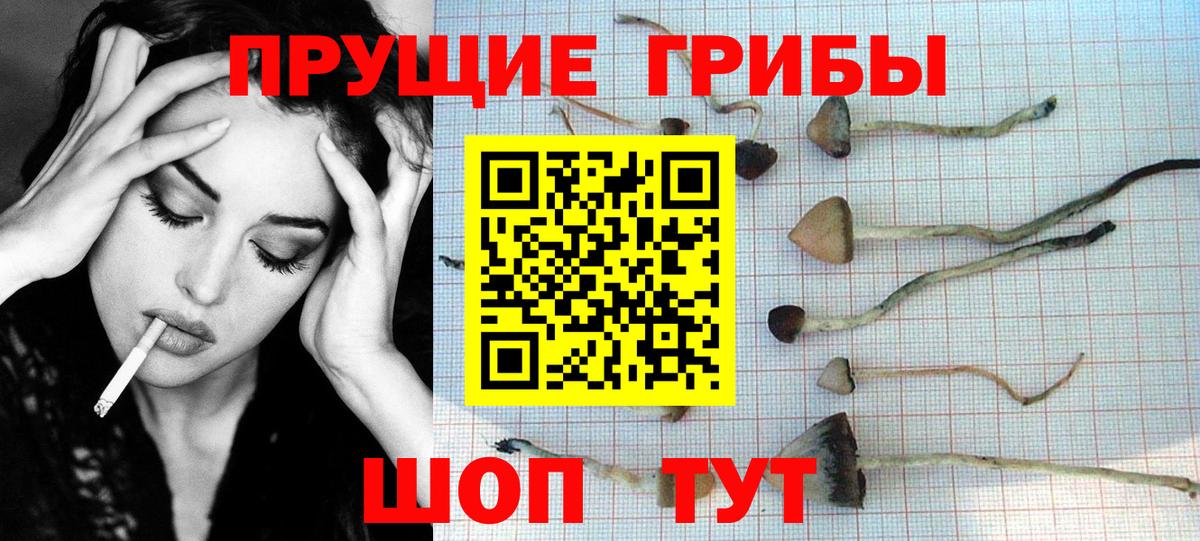 Петропавловск-Камчатский  Галлюциногенные грибы GOLDEN TEACHER  Вход с VPN 